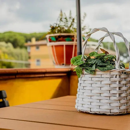 Lemon House